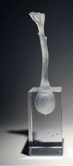 Jardin de cristal, oignon, Aurélie et Samuel  Abadie et Sauques