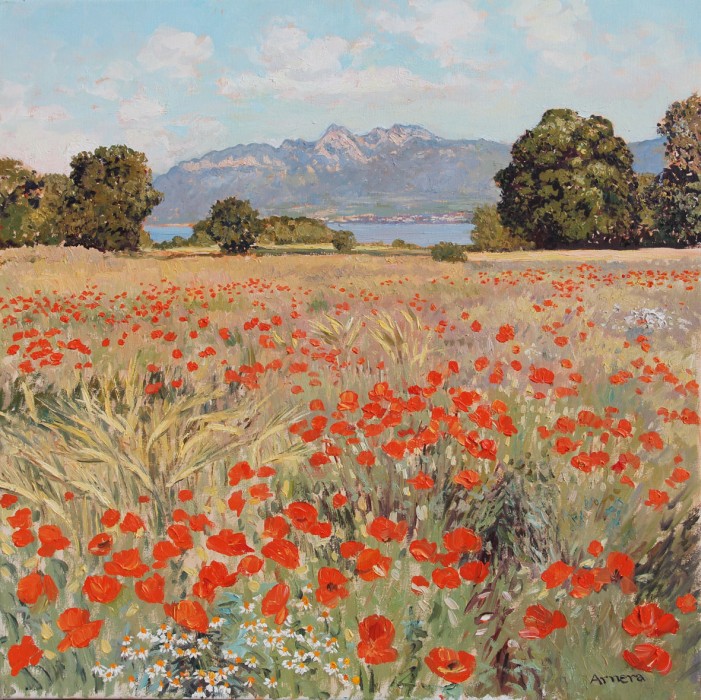 Coquelicots de juillet (Hauteurs de Nyon), Catherine  Arnera
