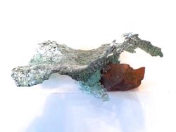 Combat feu et glace, Caroline  Ferrara