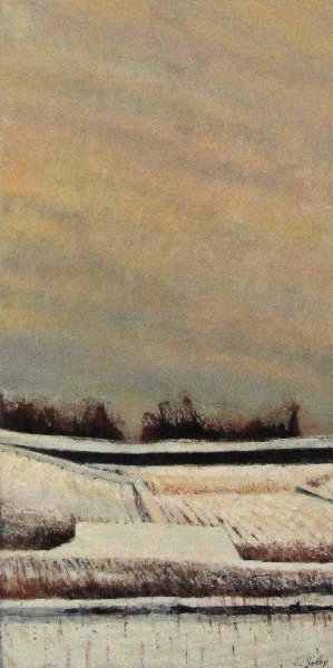 Neige Lavaux I, Claire  Bolay