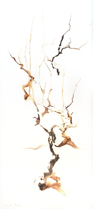 Cep de vignes, Ji Young Demol Park