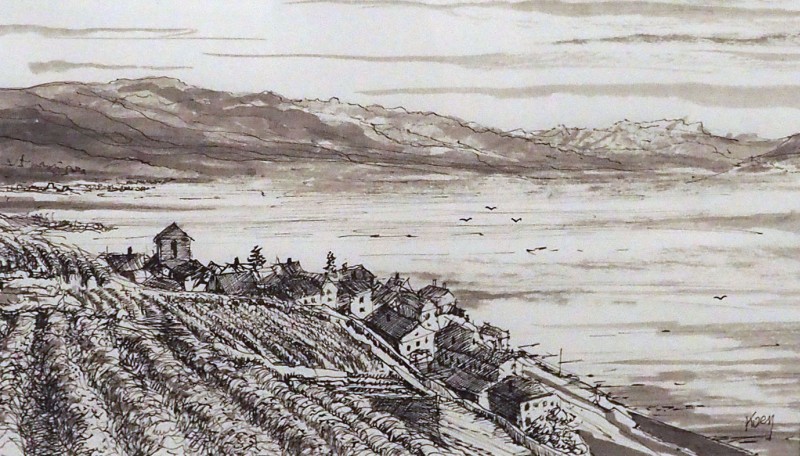 Vignoble de Lavaux, St Saphorin, Koen  De Weerdt
