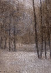 Forêt, Marie  Escher-Lude