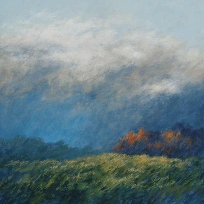 La pluie, Mireille  Veauvy