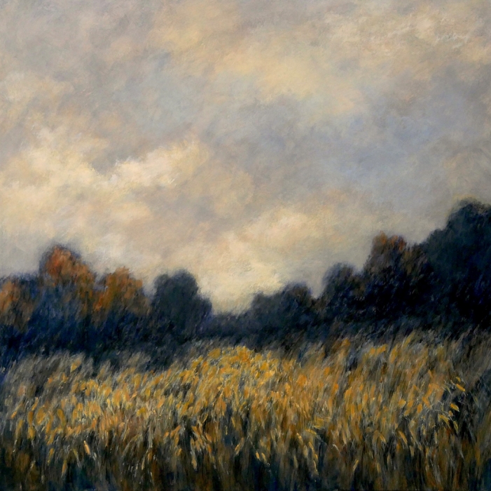 Contre le ciel, Mireille  Veauvy