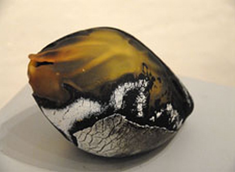 Erosion Méanne jaune, Pascal  Lemoine