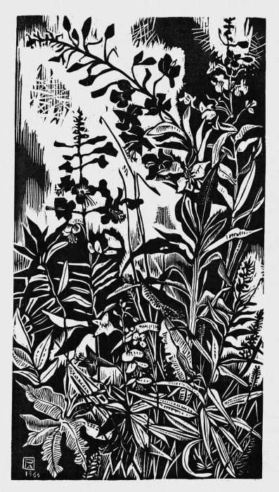 Les Epilobes, oeuvre de Pierre  Aubert