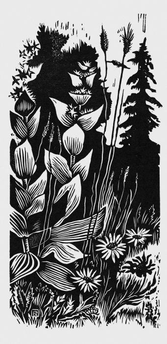 Gentianes et marguerites, Pierre  Aubert