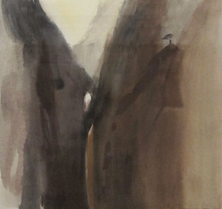 Dans le silence d'un ravin, Pauline  Liniger