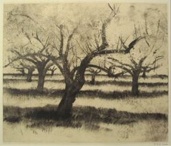 Pommiers en fleurs à Bramois, Pierre-Yves  Gabioud