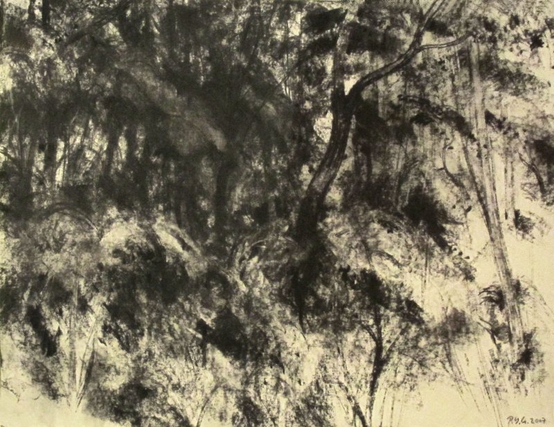 Futaie, Pierre-Yves  Gabioud