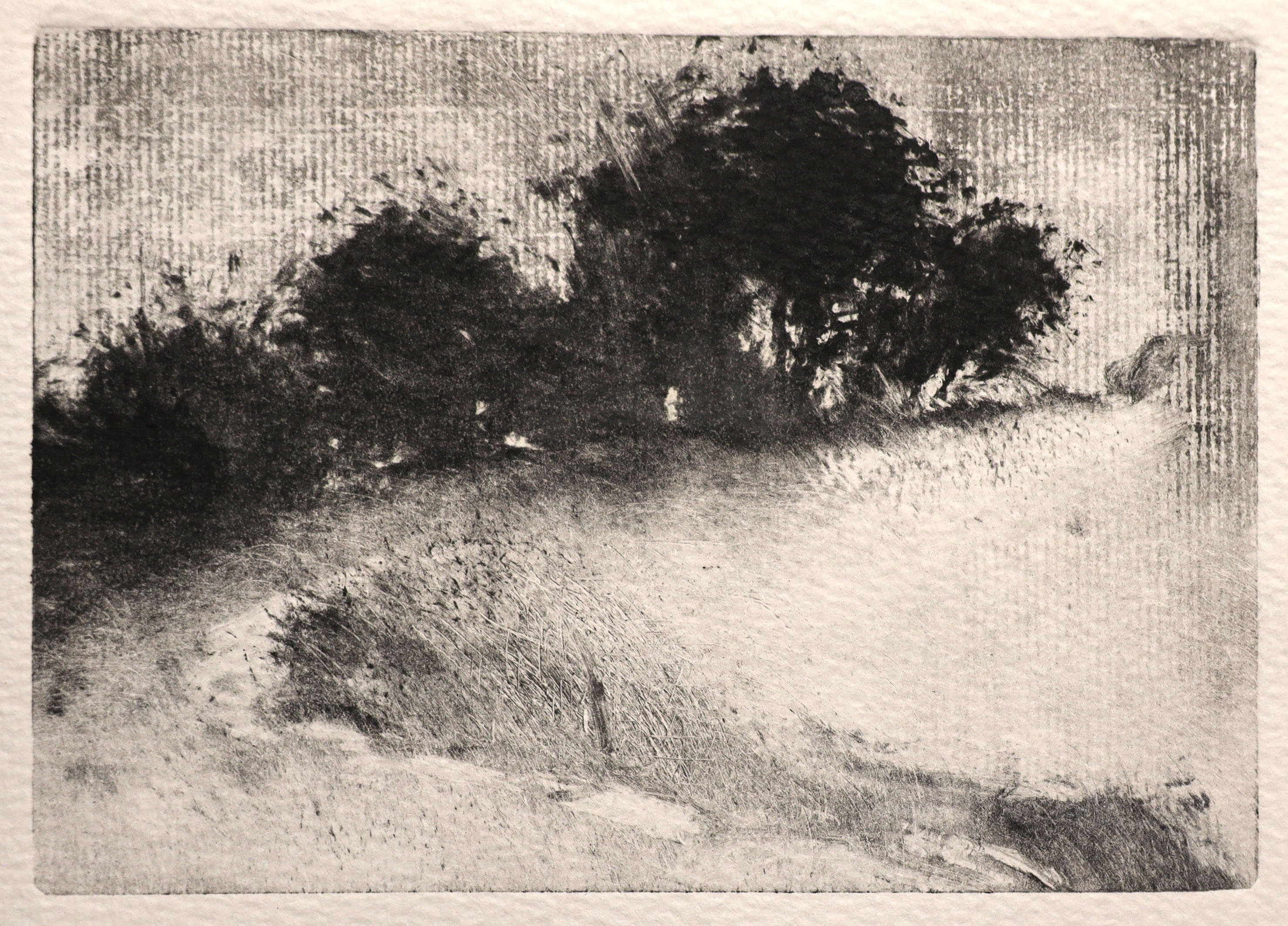 , Pierre-Yves  Gabioud
