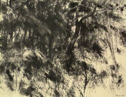 Futaie, Pierre-Yves  Gabioud