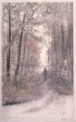 Le promeneur, Pierre-Yves  Gabioud