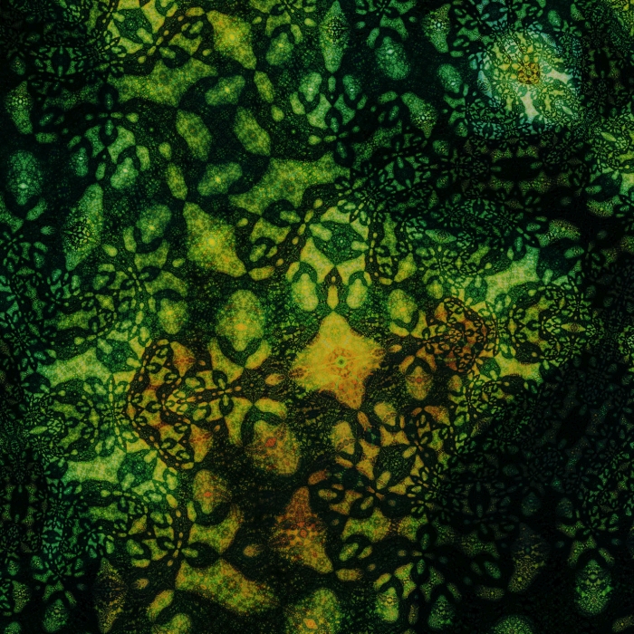 20190618-nova48, Samuel  Monnier